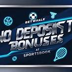 no deposit free bet sportsbook